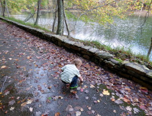 Leaves (or "doofs", as he calls them) are a favorite collector's item these days.