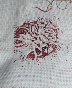 Evolution of Cross Stitch